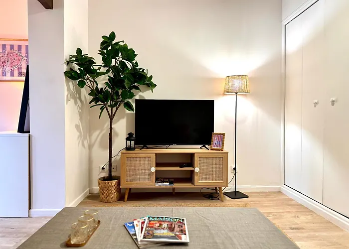 Cathedrale - Centre - Wifi - Machine Troyes